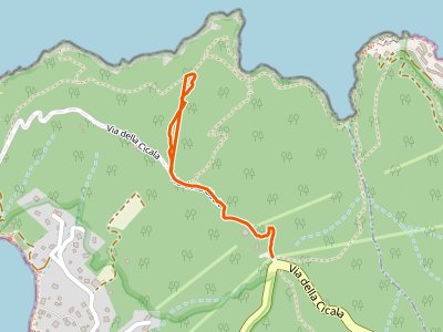 CAI-245A - 245 - 245