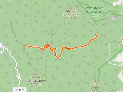 CAI-154 - SP31 dell'Oasi WWF di Campagna - C.da S. Pietro (Oliveto Citra)