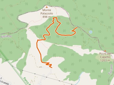 CAI-176 - San Michele di Basso (Fisciano) - Innesto 136