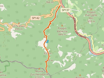 CAI-177 - Mulattiera del Granduca