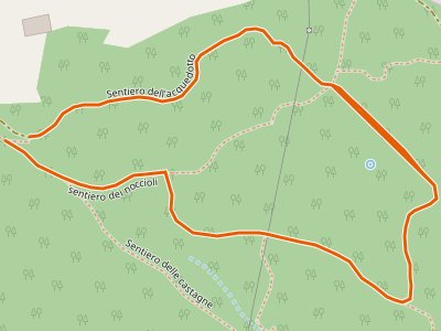 CAI-619 - bosco san vito Incrocio 800 - bosco san vito Incrocio 800