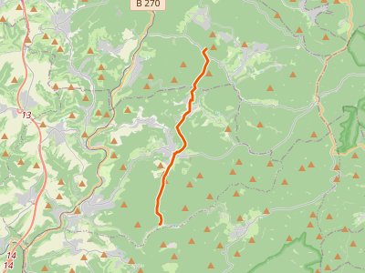 PR - Pfälzerwald Grüner Balken